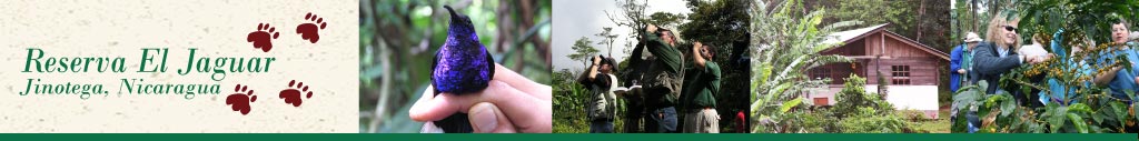 birdwatching nicaragua